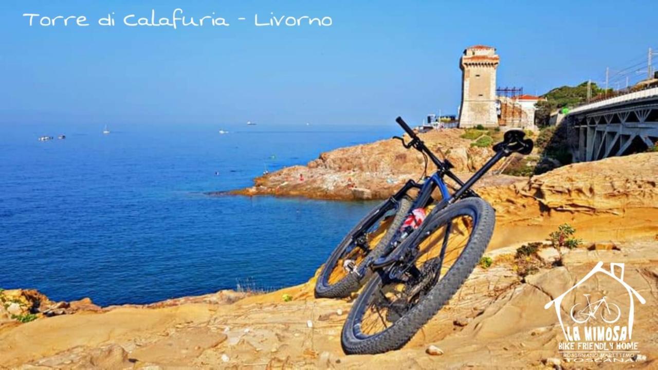 La Mimosa - Bike Friendly Home Rosignano Solvay Bagian luar foto