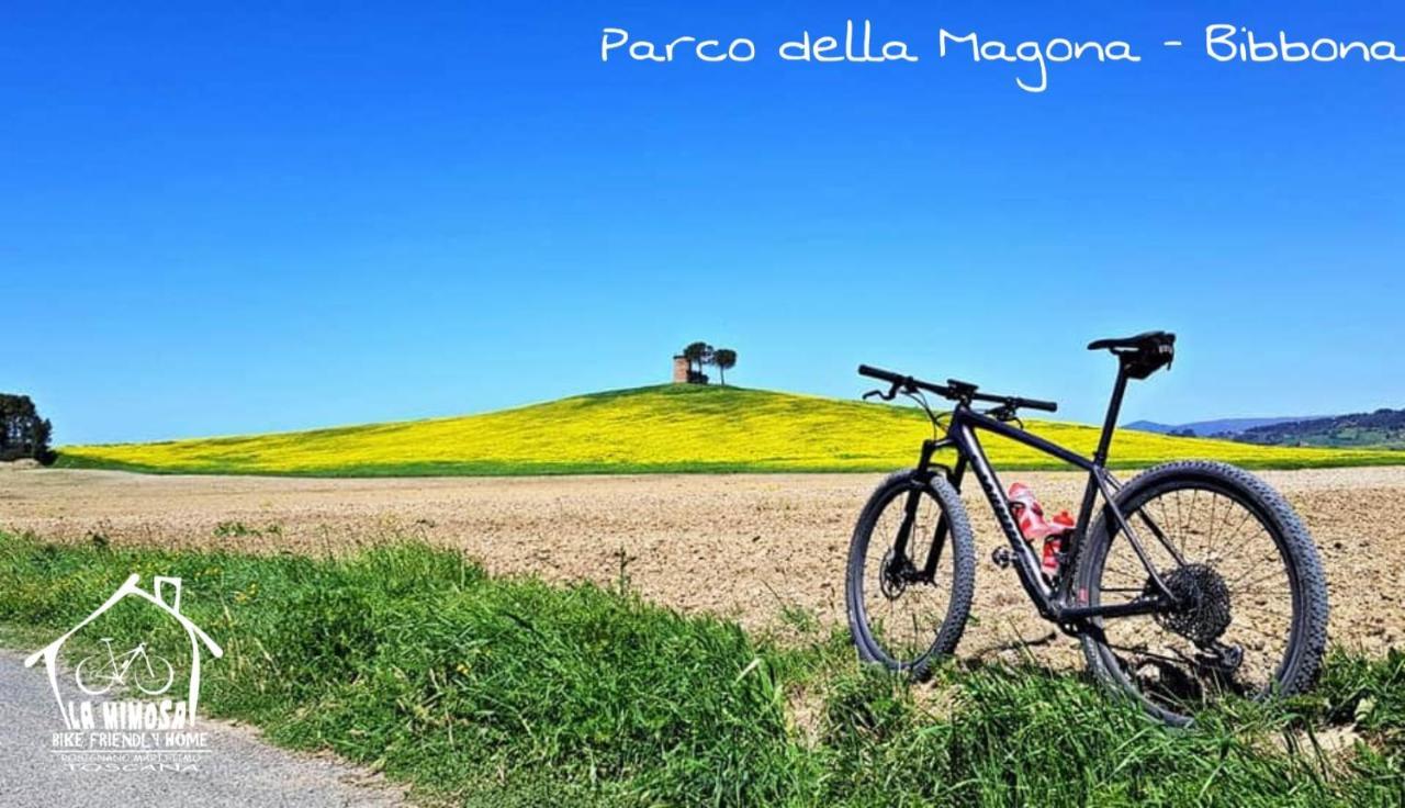 La Mimosa - Bike Friendly Home Rosignano Solvay Bagian luar foto