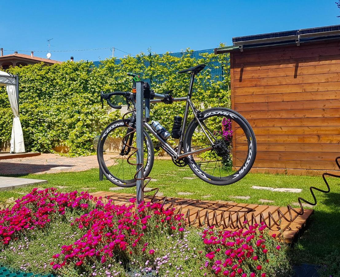 La Mimosa - Bike Friendly Home Rosignano Solvay Bagian luar foto