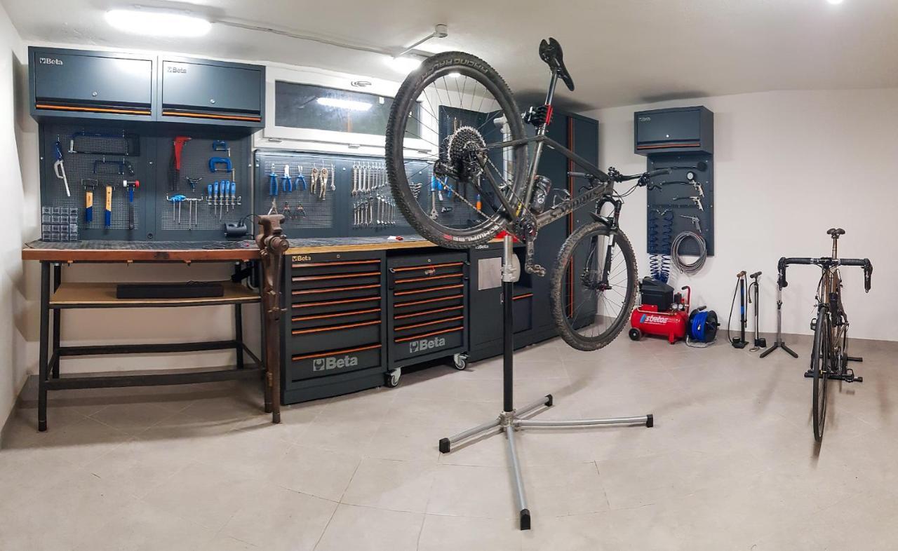 La Mimosa - Bike Friendly Home Rosignano Solvay Bagian luar foto